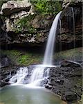 Falls on Daniel Creek at Cloudland Canyon State Park in Georgia.