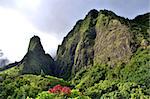 Iao Needle located on scenic tropical destination location Maui, Hawaii.  Tropical foliage in foreground with mountain in the background.