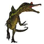 Ichthyovenator was a theropod spinosaur dinosaur that lived in Laos, Asia in the Cretaceous Period.
