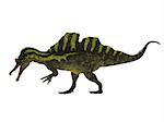 Ichthyovenator was a theropod spinosaur dinosaur that lived in Laos, Asia in the Cretaceous Period.