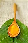 honey in a wooden spoon on leaf