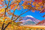 Mt. Fuji, Japan from Yamanaka Lake in autumn.