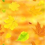 Seamless background with flying autumn leaves of a birch, maple and barberry. On yellow background