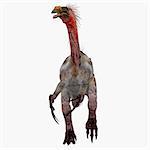Therizinosaurus was a carnivorous theropod dinosaur that lived in the Cretaceous Period of Mongolia.