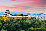 Wakayama, Japan Castle and downtown cityscape.