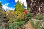 Mount Shosha, Himeji, Japan at Enyogji Temple in early autumn.