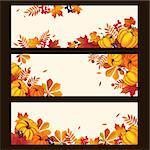 Banners with autumn elements, leaves and pumpkins, colorful vector illustration