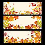Banners with autumn elements, leaves and berries, colorful vector illustration
