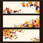 Banners with autumn elements, leaves and ripe berries, colorful vector illustration