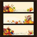 Banners with autumn harvest elements, leaves, fruit and vegetables, colorful vector illustration