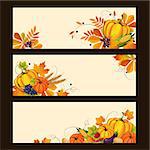 Banners with autumn harvest elements, swirls, leaves, fruit and vegetables, colorful vector illustration