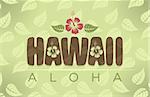 Vector illustration of Hawaii and Aloha words with hibiscus flowers