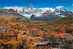 South America, Patagonia, Argentina, Santa Cruz, El Chalten, Fitz Roy at Los Glaciares National Park