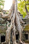 Ta Prohm temple (Rajavihara), Angkor, UNESCO World Heritage Site, Siem Reap Province, Cambodia