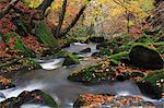 England, Calderdale. Colden Clough near Hebden Bridge in the autumn.