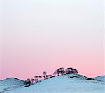 England, Yorkshire Dales. Trees and typical rolling hills of the Dales in winter.