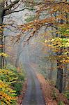 England, West Yorkshire, Hebden Bridge. A small road on a foggy autumn morning.