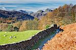 England, Cumbria, Langdale. Hiking along a footpath in autumn, towards the Langdale Pikes. MR.