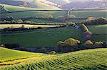 England, South Devon. Rolling pastoral landscape of the South Hams region.