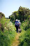 England, Cornwall, Isles of Scilly. Two people walking dogs on St Marys island.