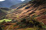 England, Cumbria, Borrowdale. A view of the valley in autumn.