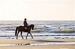 Netherlands, North Holland, Julianadorp. Man riding a horse on the beach along the ocean.