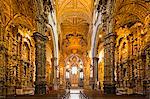 Portugal, Douro Litoral, Porto. The stunning Baroque gilt wood carvings of Igreja de São Francisco are considered some of the most outstanding in Portugal.