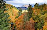 Scotland, Pitlochry. The River Garry in autumn, near the Pass of Killiecrankie.