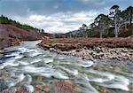 Scotland, Aberdeenshire, Braemar. The River Quoich in the Cairngorms National Park.
