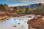 Scotland, Aberdeenshire, Braemar. Glen Lui in the Cairngorms National Park.