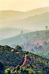 Rolling hills and coffee plantations in Central Highlands, Bao Loc, Lam Dong Province, Vietnam