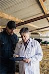 Vet discussing with farmer over clipboard by fence in barn