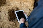Cropped image of farm worker using digital tablet in barn