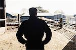 Rear view of silhouette man standing with hand on hip in barn