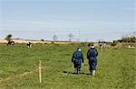 Rear view of farm workers walking on grassy field against sky