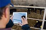 Cropped image of farm worker using tablet computer by fence at barn