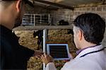 Vet showing digital tablet to farm worker by fence in barn