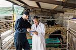 Vet and farm worker with digital tablet standing by fence in barn