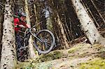 Low angle view of mountain biker jumping with bicycle in woodland