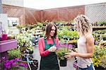 Florist talking to women buying a plant in a garden centre
