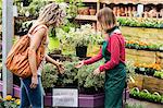 Female florist showing potted plants to woman in garden centre