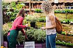 Female florist showing potted plant to woman in garden centre