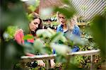 Two female florist pruning a plant with pruning shears in garden centre