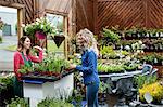 Florist talking to women buying a plant in a garden centre