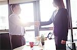 Businesswoman and businesswoman shaking hands in office