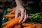 Close-up of man holding carrot in supermarket