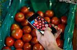 Hand taking a photo of tomatoes in display in organic section at supermarket