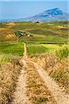 Scenic vista of farmland on rolling hills with dirt road near Calarafimi-Segesta in the Province of Trapani, in Sciliy, Italy