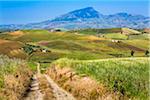 Scenic vista of farmland with vineyards and fields of crops and dirt road near Calatafimi-Segesta in the Province of Trapani in Sicily, Italy