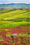 Overview of farmland with grassy fields and colorful wildflowers near Calatafimi-Segesta in the Province of Trapani in Sicily, Italy